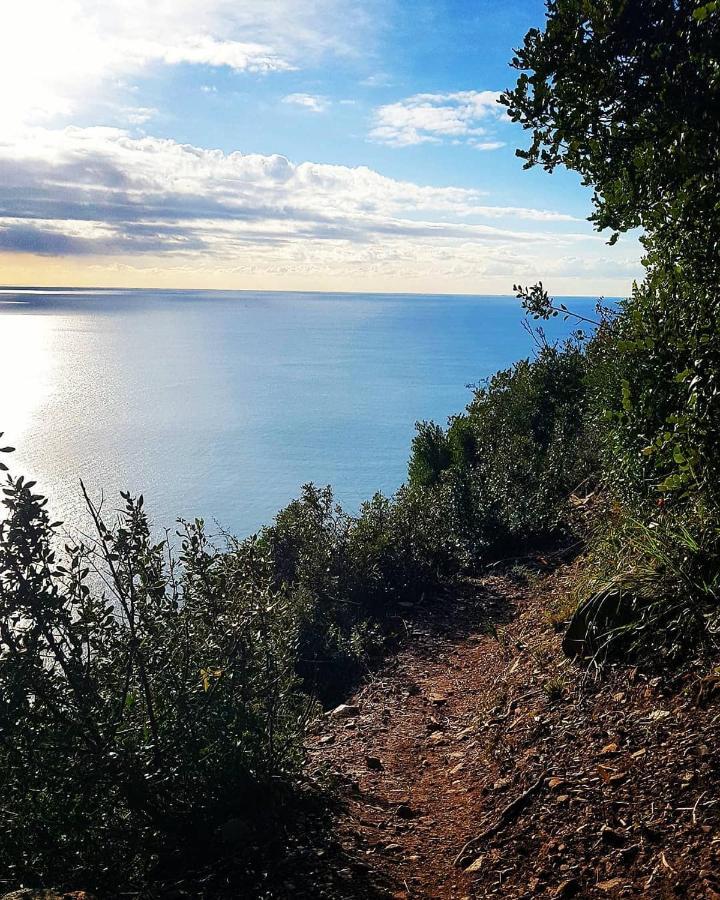Salvia E Rosmarino - Affittacamere In Liguria Villanova d'Albenga Ngoại thất bức ảnh