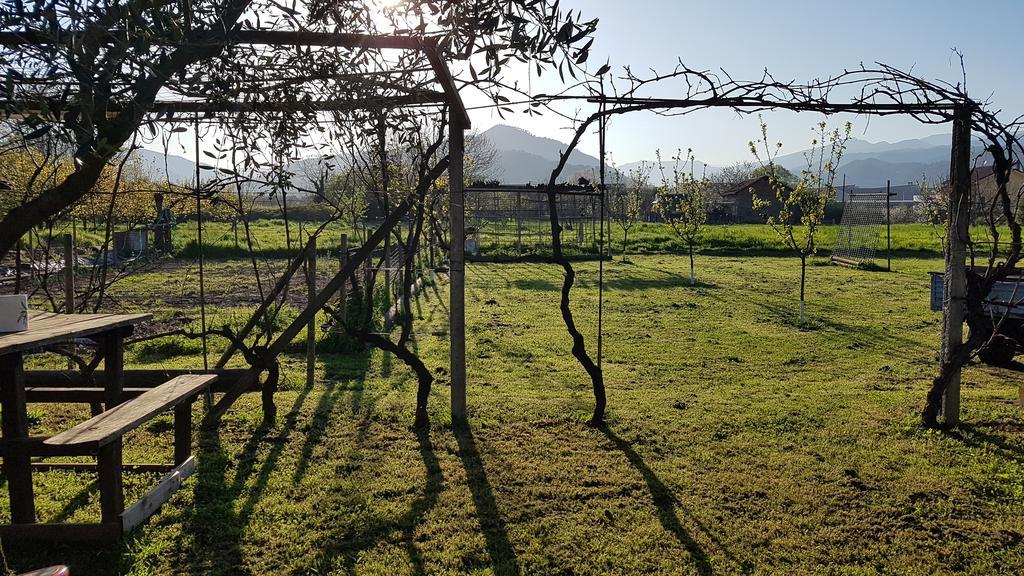 Salvia E Rosmarino - Affittacamere In Liguria Villanova d'Albenga Ngoại thất bức ảnh
