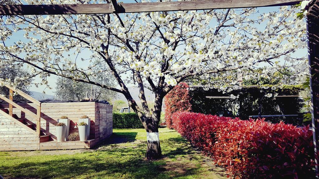 Salvia E Rosmarino - Affittacamere In Liguria Villanova d'Albenga Ngoại thất bức ảnh