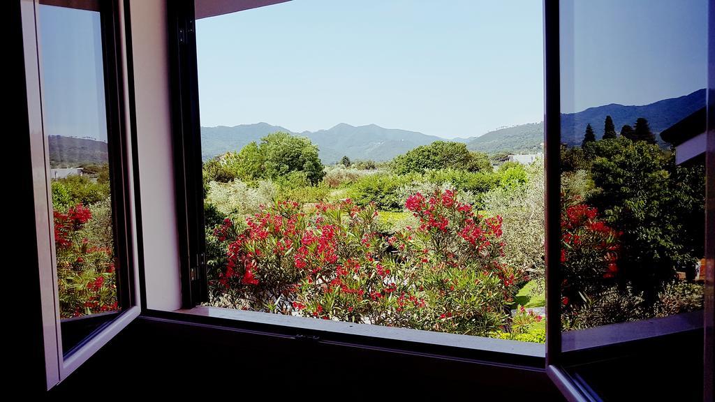 Salvia E Rosmarino - Affittacamere In Liguria Villanova d'Albenga Ngoại thất bức ảnh